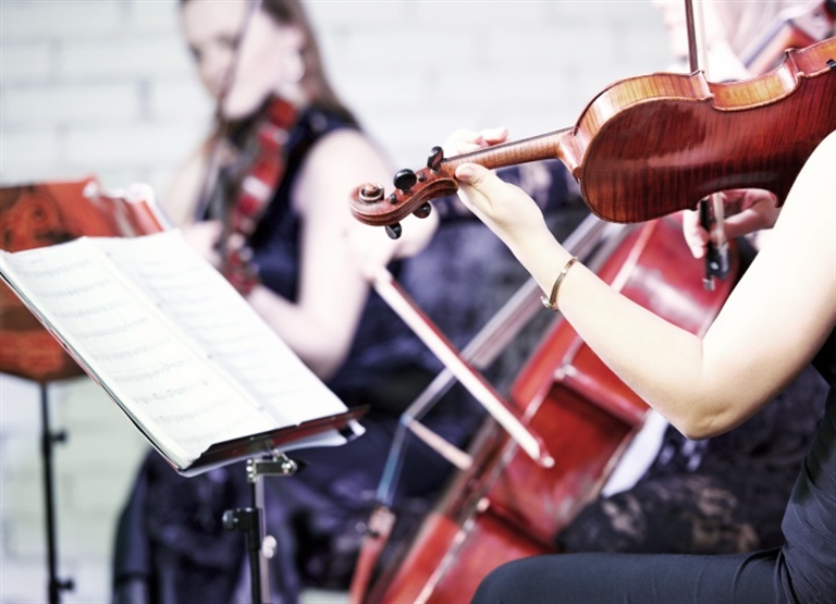 Concert halls & organs humidification