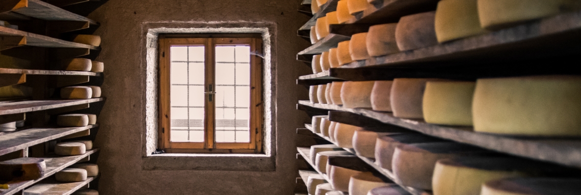 Humidification for cheese curing