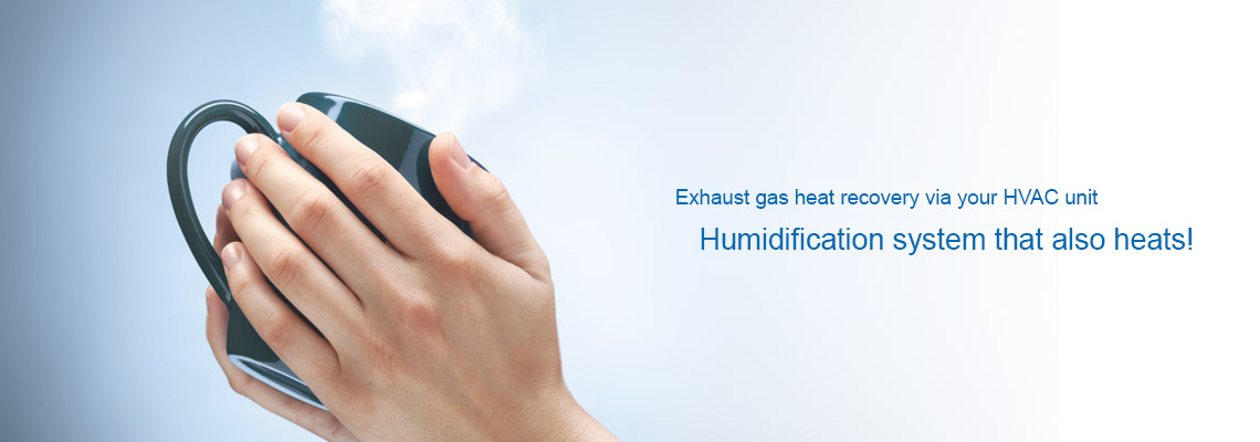 Humidifier that also heats