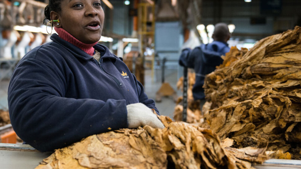 JetSpray humidifier at British American Tobacco in Cameroon JetSpray humidifier at British American Tobacco in Cameroon